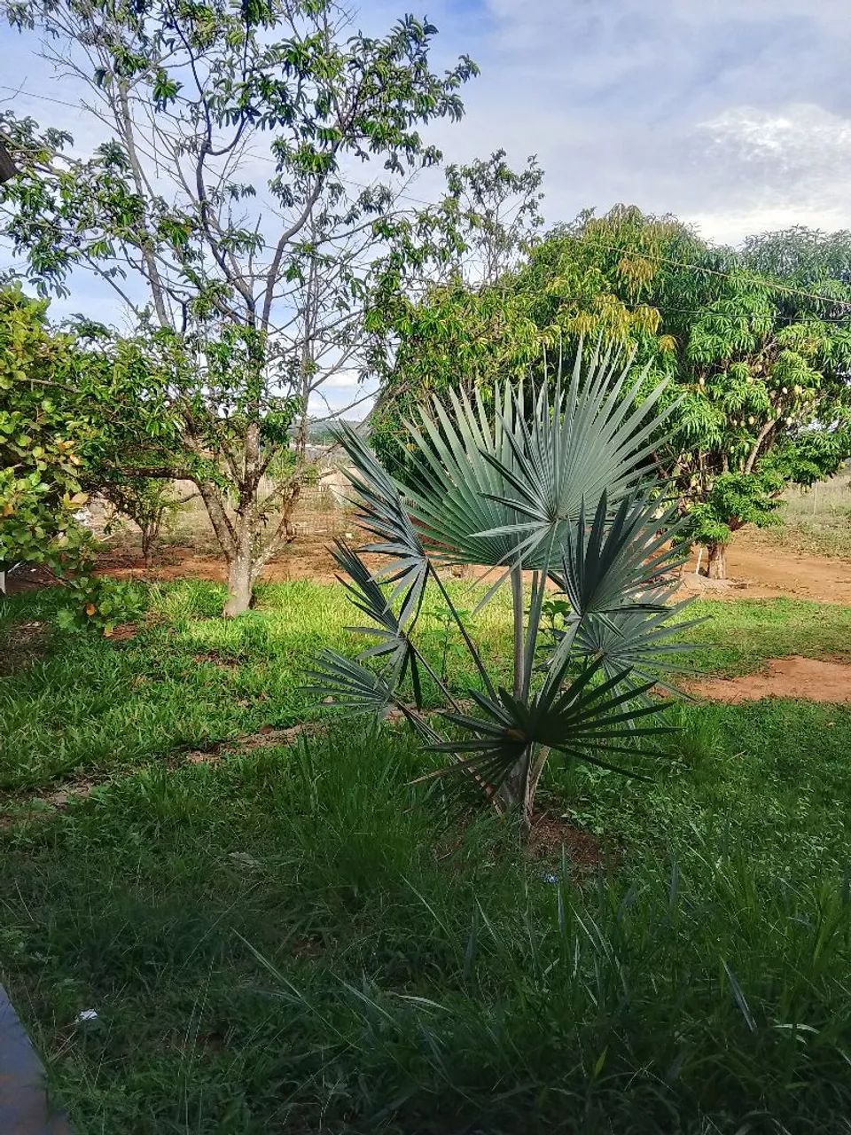 Excelente chácara  - Foto 5