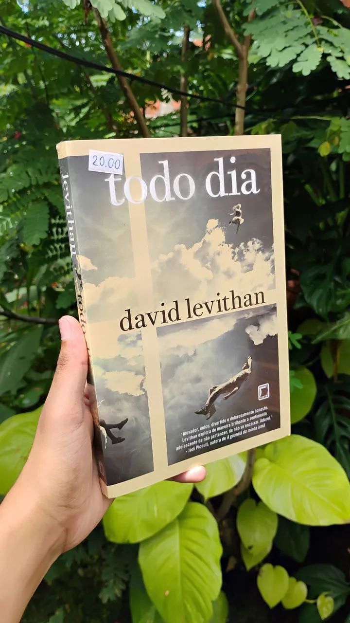 Livro Todo Dia - David Levithan  - Foto 2
