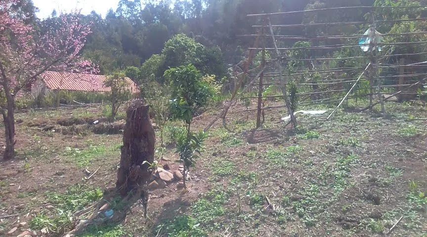 Linda  casa - Foto 2