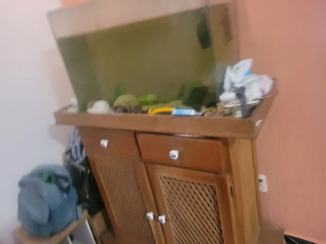 Aquario - Foto 4