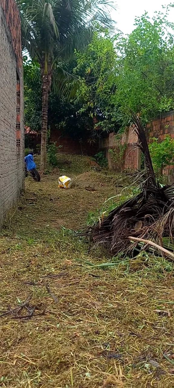 Vendesse terreno  - Foto 4