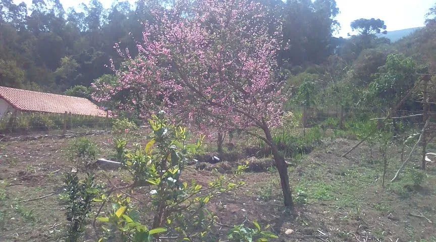 Linda  casa - Foto 3