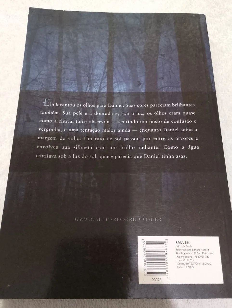 Livro Fallen - Foto 2