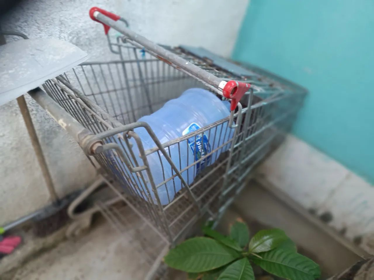 Carrinho de mercado 