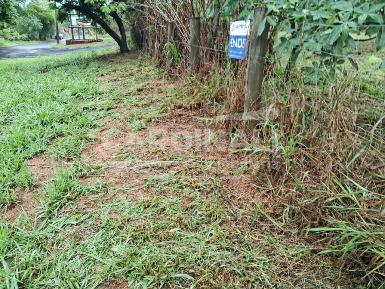3 lotes juntos em Itirapina, esquina - Foto 3