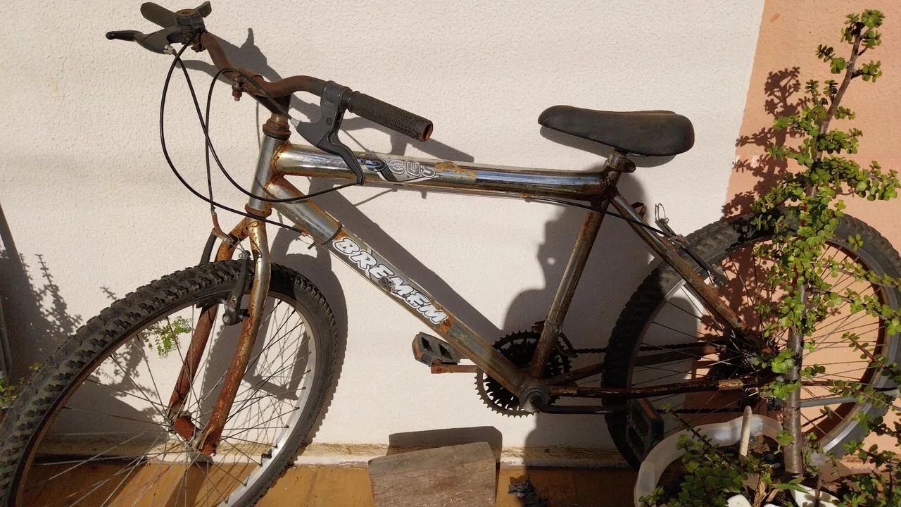 Bicicleta 