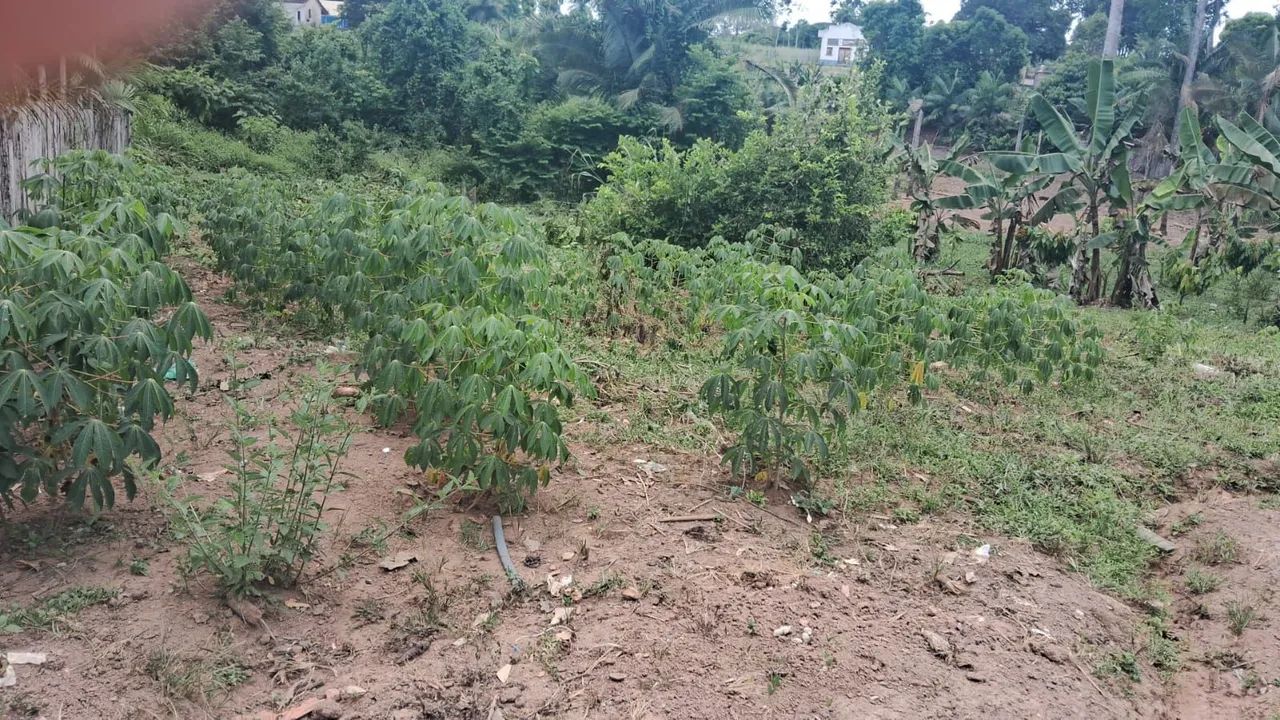 Vendo esse terreno 15×30
