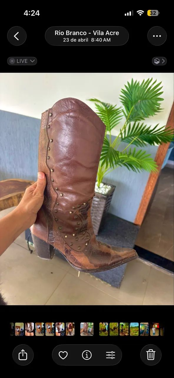 Bota 