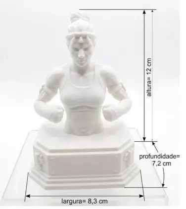 Busto de Lutador e Lutadora Muay Thai - Foto 3