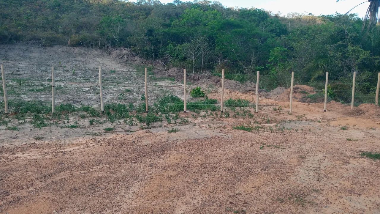 Foto - Mata de São João - 