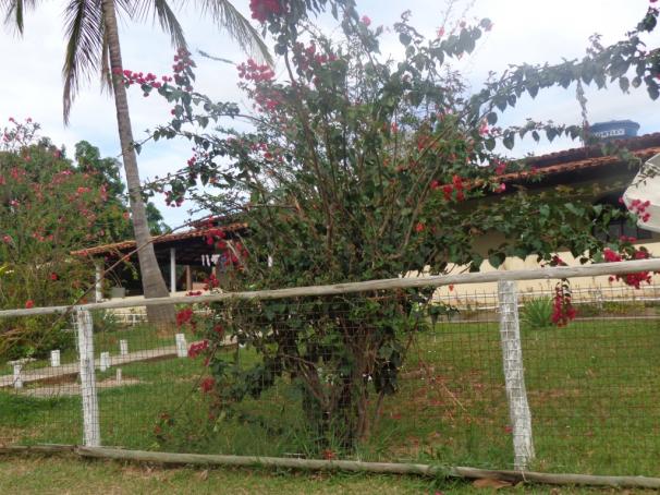 Chácara à venda em Centro, Paraopeba cod:873 - Foto 6