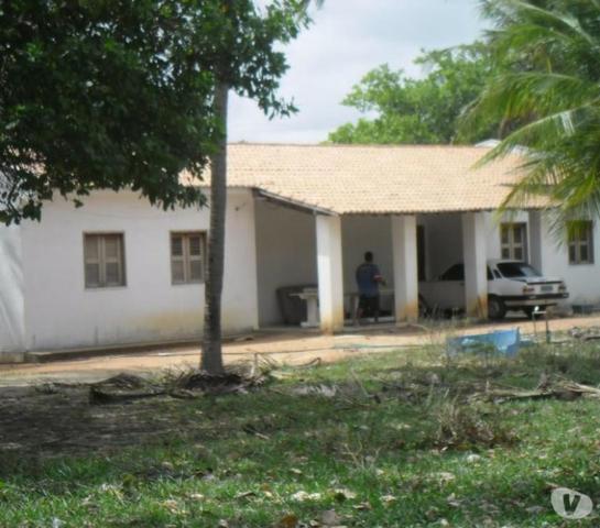 Imperdível oportunidade sítios conjugados com 3600m2 cada um com casa bem iniciada - Foto 2