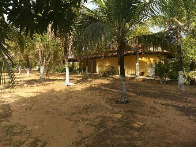 Faz. 12 alqueires à 30 km de Imperatriz- porteira fechada * - Foto 7