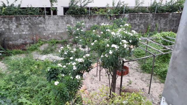 Praia do Futuro - Pousada 1326m² com 15 Suítes - Foto 18