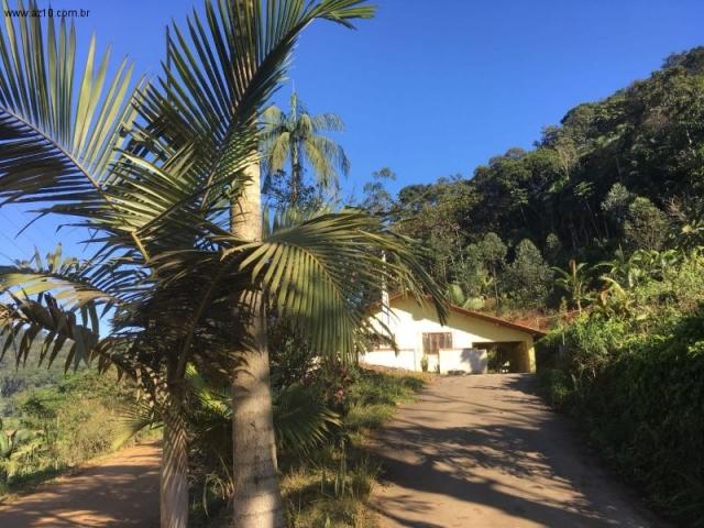 Sítio à venda em Luiz alves, Luiz alves cod:ST00001 - Foto 4