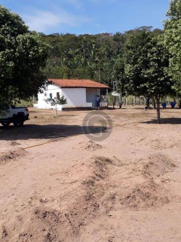 Chacara 40 hectares em mimoso - Foto 16