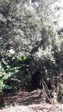 Vende-se terreno no Jardim Paulista