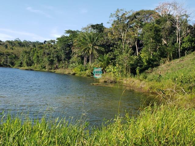 Ubaitaba. Fazenda com 140 Hectares. Mista de cacau e gado - Foto 14