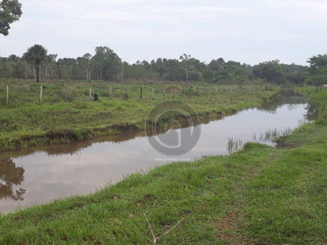 Chacara 40 hectares em mimoso - Foto 10