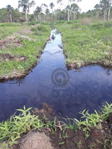 Chacara 40 hectares em mimoso - Foto 8