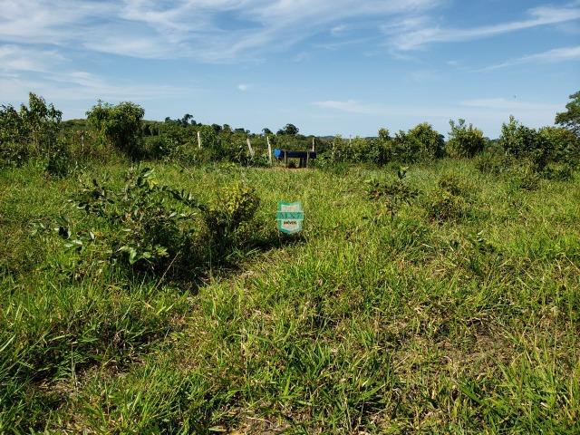 Ubaitaba. Fazenda com 140 Hectares. Mista de cacau e gado - Foto 9