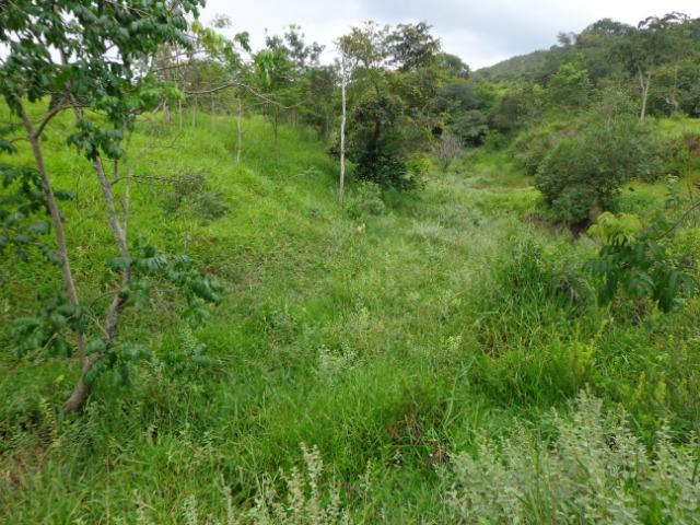 Terrenos, Sítios e Fazendas 70 Há Região de Para de Minas-MG - Foto 5