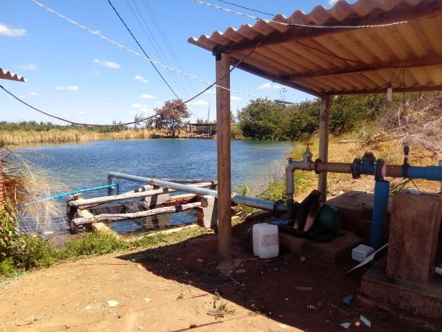 Fazenda a Venda - Foto 14