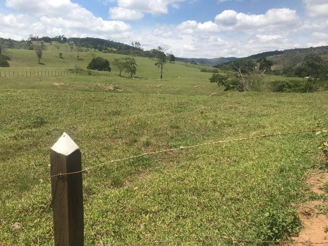 Fazenda pronta em Amargosa - Foto 6