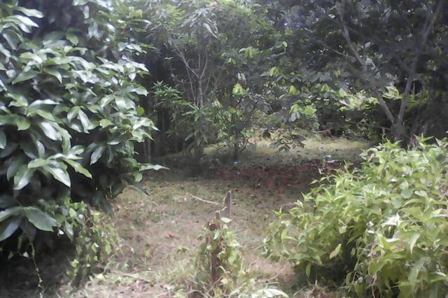 Terreno - Foto 7