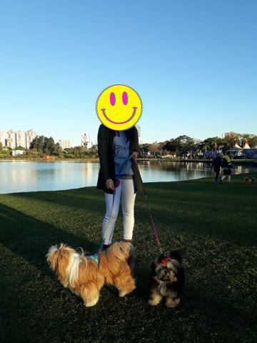 Casal de shit zu (Curitiba-Pr) - Foto 4