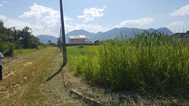 Terreno em Papucaia Cachoeira de Macacu - Foto 9