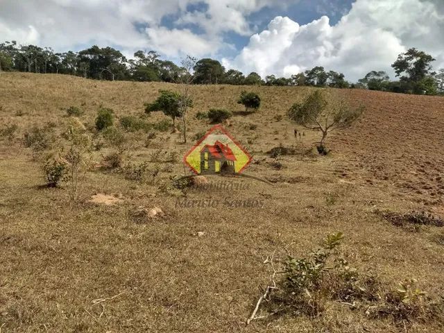 Área em Natividade da Serra! - Foto 4