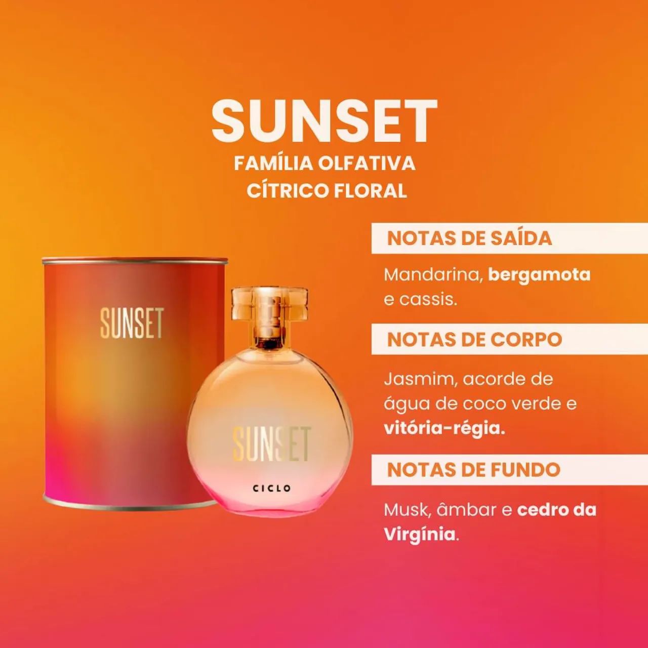 Perfumes Ciclo Cosméticos - Imperdível! - Foto 4