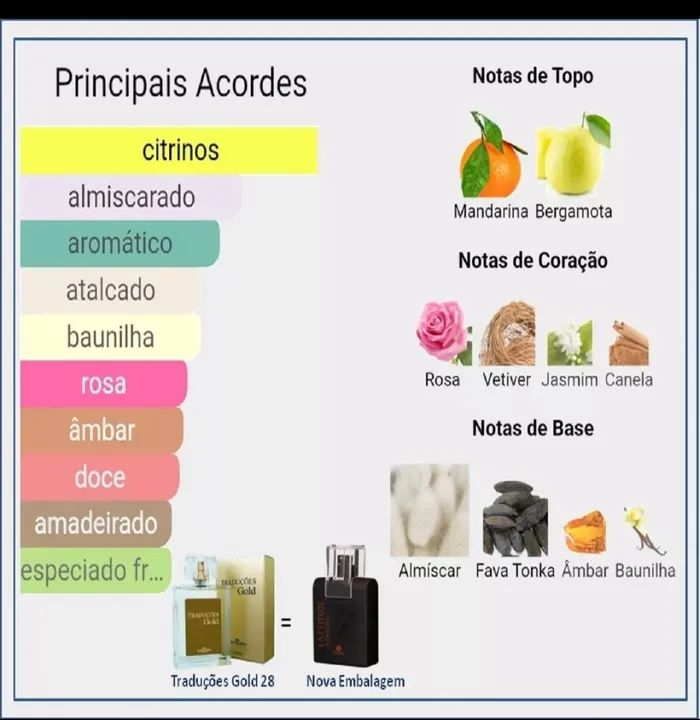 Perfume Masculino Latitude Stamina Hinode - Novo - Foto 2