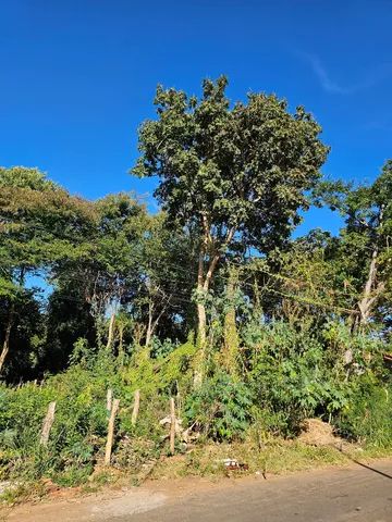 Lote jardim Vila Boa