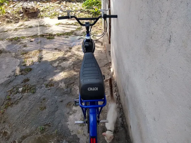 Vende se uma bicicleta  +10000 anúncios na OLX Brasil