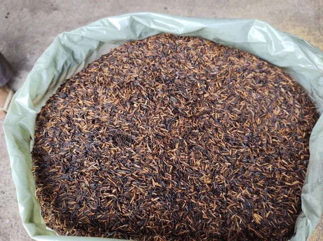 Cascas de arroz