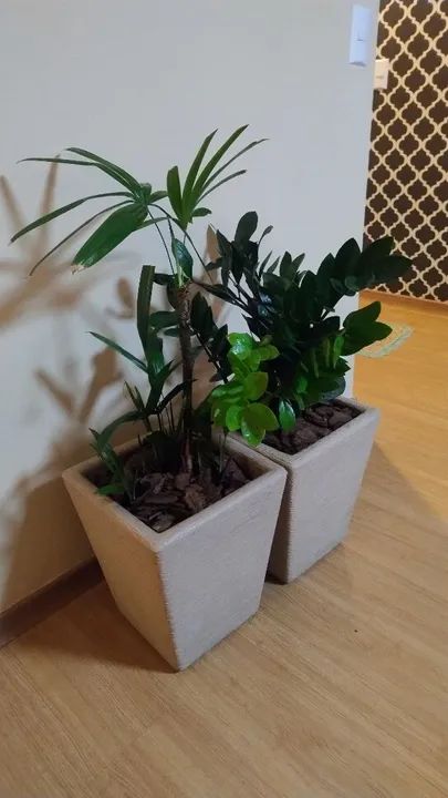 Duas Plantas em Vasos Decorativos