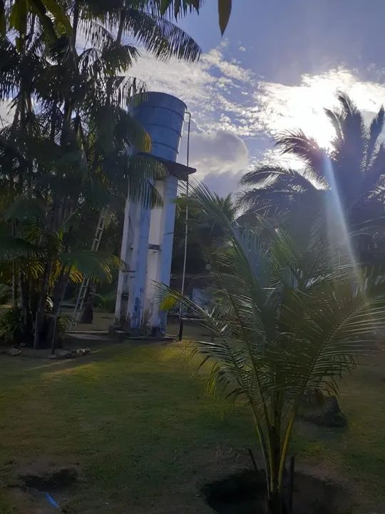 Fazenda/Sítio/Chácara para aluguel e venda possui 9.000 metros quadrados com 3 quartos - Foto 5