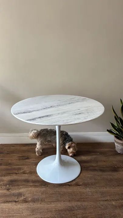 Mesa de jantar saarinen tampo de 90 espirito santo