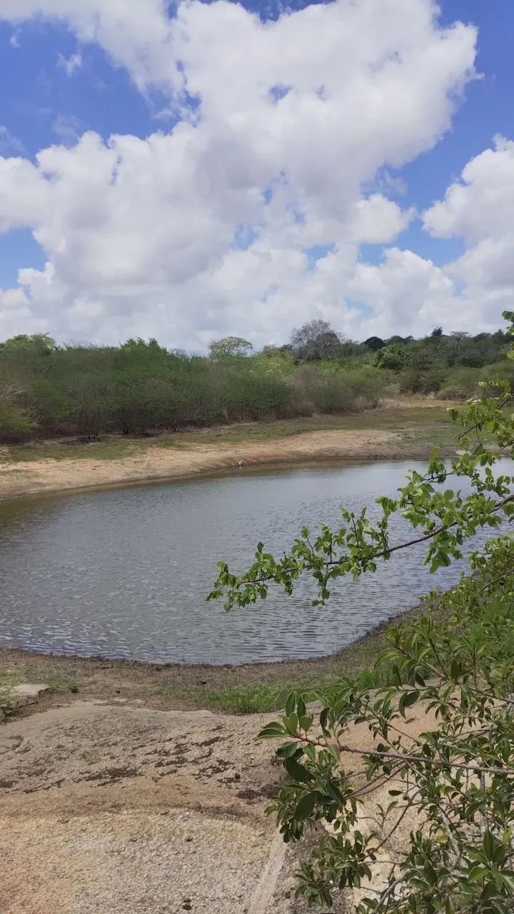 17 hectares em Puxinanã