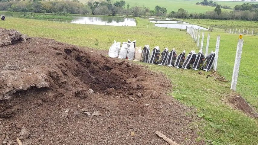 ESTERCO DE CARNEIRO ADUBO ORGÂNICO - Foto 3