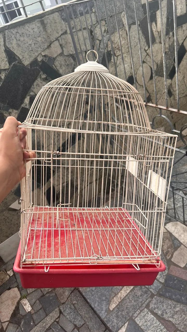 Gaiola de ferro para calopsita periquito 