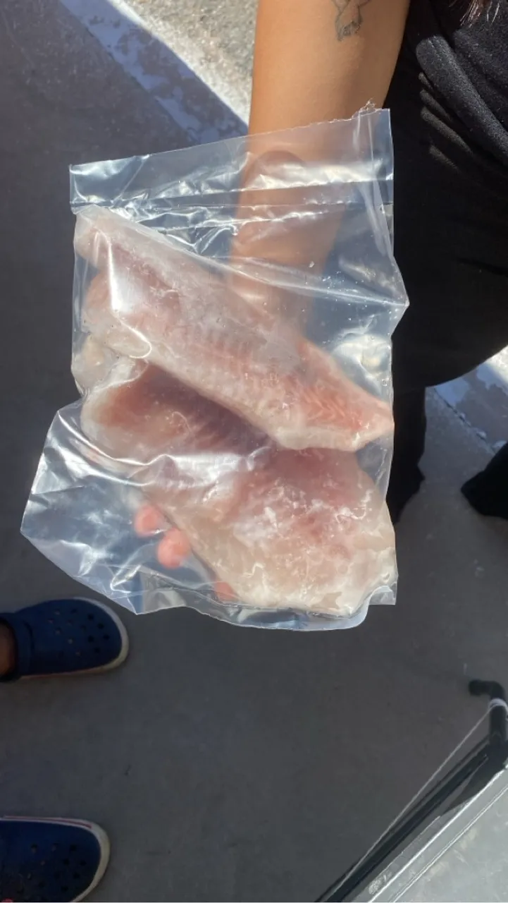 Filé de Tilápia Sem Espinha!