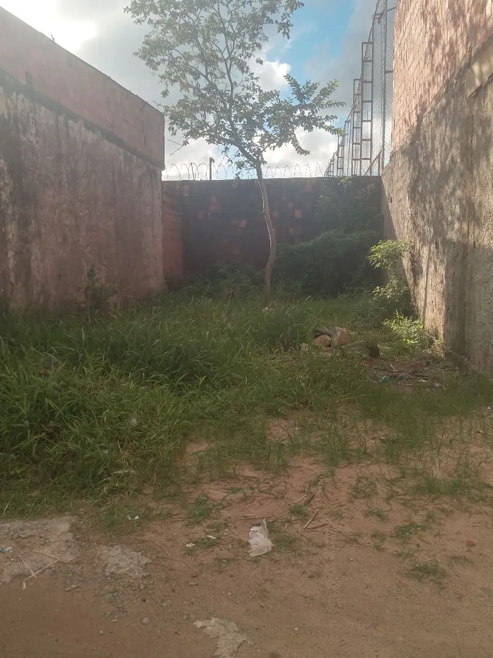 Terreno
