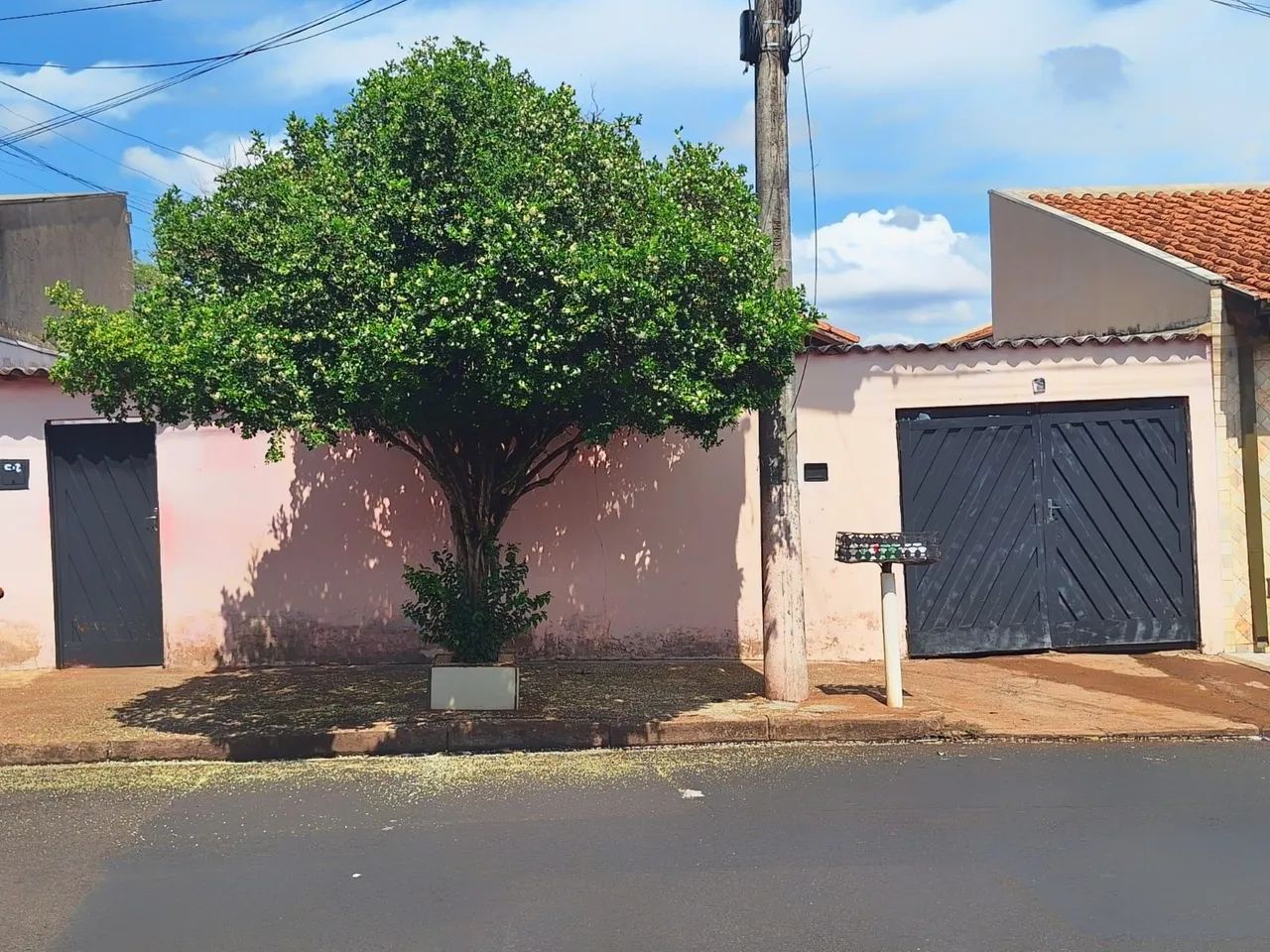 Foto - Ribeirão Preto - Geraldo Correia de Carvalho