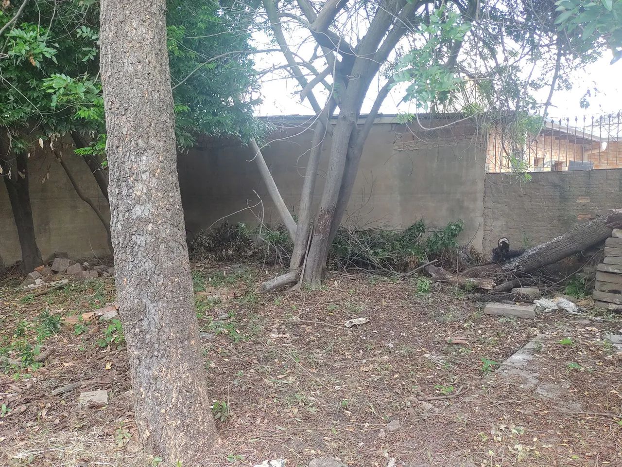 Terreno/VL.Elizabeth - Foto 4