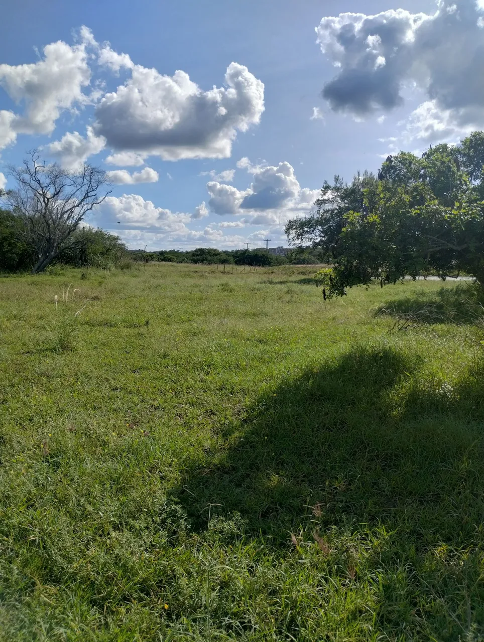 FAZENDA NA BR 116 SUL
