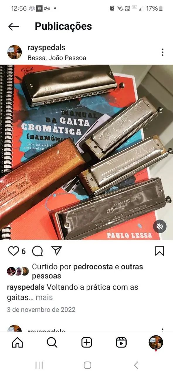 Gaitas Harmônicas hohner