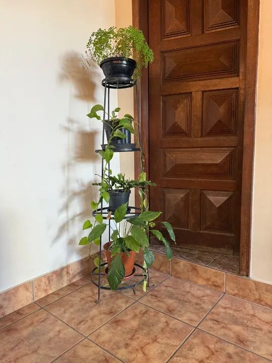 Baixou: Suporte Tripé para plantas, em ferro